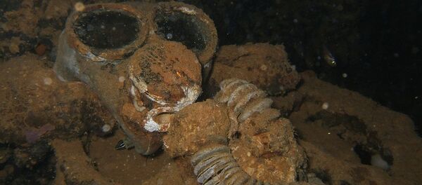 Una máscara antigás Una máscara antigás - Sputnik Mundo