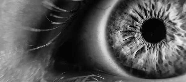 Un ojo - Sputnik Mundo