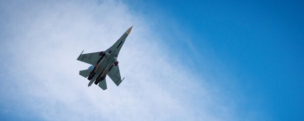 Un caza Su-27 ruso Un caza Su-27 ruso - Sputnik Mundo