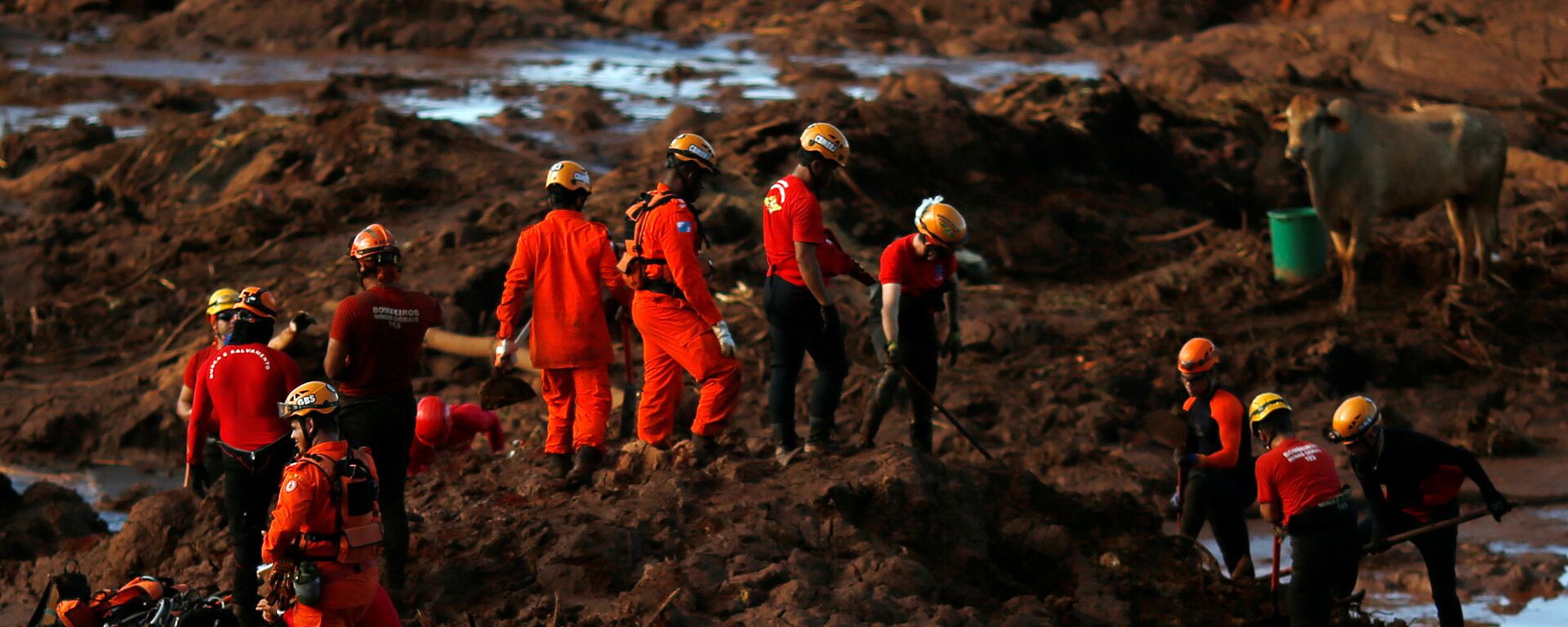 Búsqueda de víctimas en la región de Brumadinho, Brasil - Sputnik Mundo, 1920, 25.01.2022