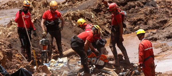 La búsqueda de víctimas en la región de Brumadinho, Brasil La búsqueda de víctimas en la región de Brumadinho, Brasil - Sputnik Mundo