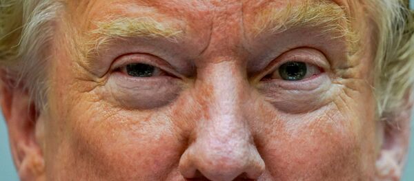 Donald Trump, presidente de EEUU - Sputnik Mundo