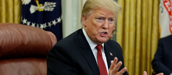 Donald Trump, presidente de EEUU Donald Trump, presidente de EEUU - Sputnik Mundo