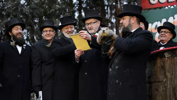 La marmota Phil