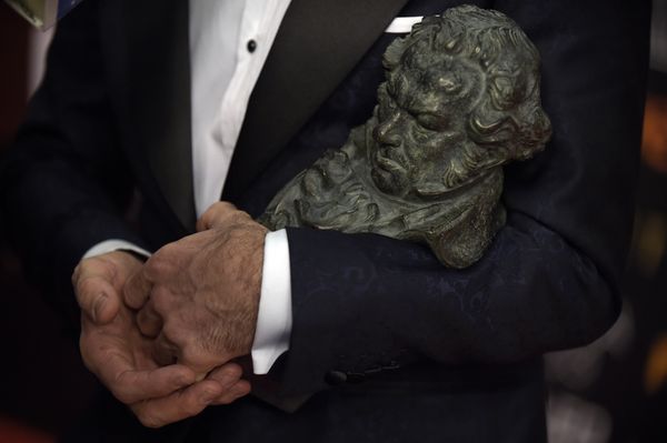 Premios Goya 2019, en imágenes - Sputnik Mundo