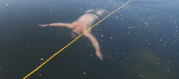 Impresionante: este hombre tuvo la osadía de nadar bajo el hielo de un lago - Sputnik Mundo