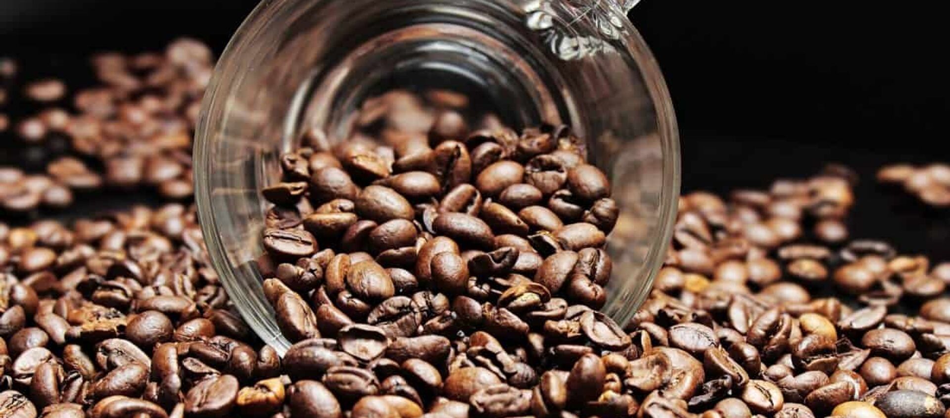 Café - Sputnik Mundo, 1920, 05.02.2019