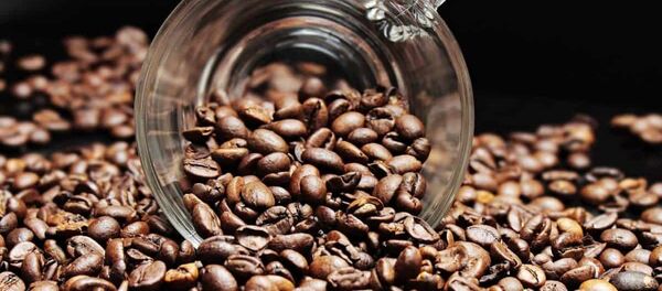 Café Café - Sputnik Mundo