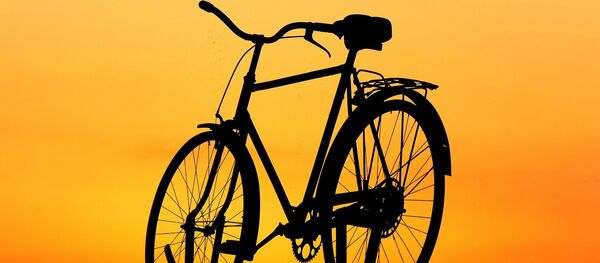 Una bicicleta - Sputnik Mundo