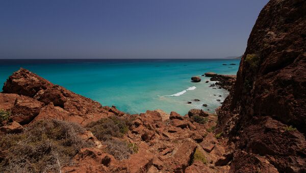 Socotra, Yemen - Sputnik Mundo