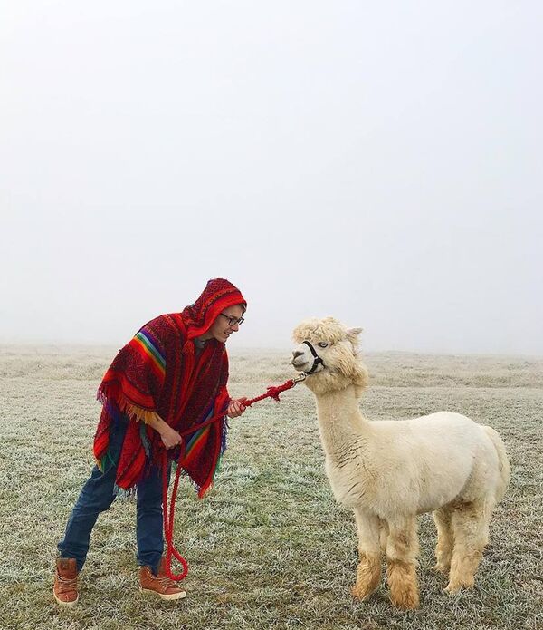 Iliá Smirnov y una de sus alpacas - Sputnik Mundo