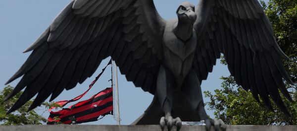 El incendio en el club de futbol Flamengo en Río de Janeiro, Brasil - Sputnik Mundo