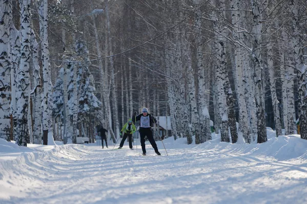 Una carrera de esquí masiva reúne a personas de todos los rincones de Rusia Una carrera de esquí masiva reúne a personas de todos los rincones de Rusia - Sputnik Mundo