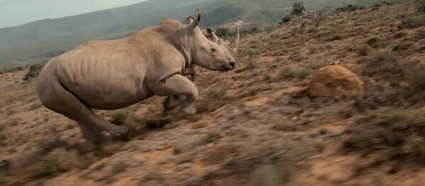 The sky is not the limit - Johnny FPV - Sputnik Mundo