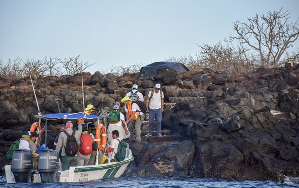 Desembarque de personal y cebos a emplear para la erradicación de roedores en la isla Seymour Norte - Sputnik Mundo