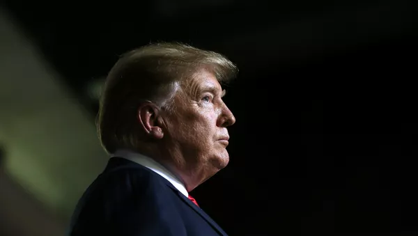 Donald Trump, presidente de EEUU