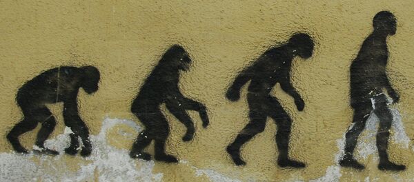 Evolución, imagen referencial Evolución, imagen referencial - Sputnik Mundo