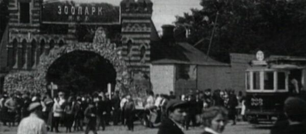 ¡Feliz 155 aniversario al zoológico de Moscú! - Sputnik Mundo