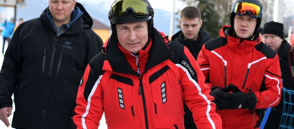 Pesca, Fórmula 1 y bádminton: así pasa el tiempo Vladímir Putin - Sputnik Mundo