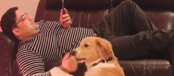 ¡Haz lo que te digo! Un perro muestra cómo educar a su dueño ¡Haz lo que te digo! Un perro muestra cómo educar a su dueño - Sputnik Mundo