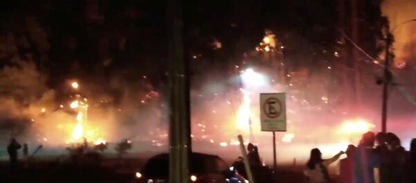 Incendios en Chile - Sputnik Mundo