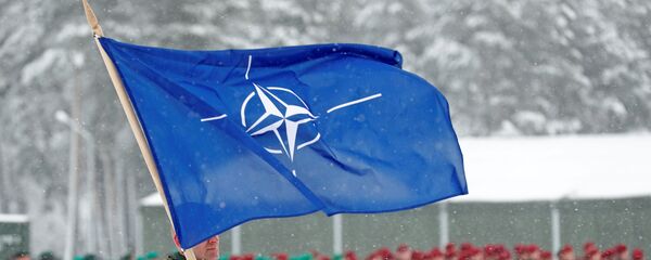 Bandera de la OTAN (imagen referencial) - Sputnik Mundo