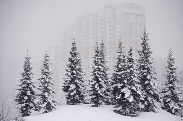 Moscú surrealista - Sputnik Mundo