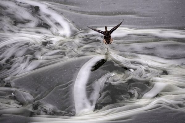 Moscú surrealista - Sputnik Mundo