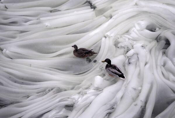 Moscú surrealista - Sputnik Mundo