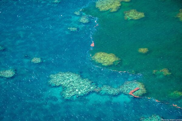 La Gran Barrera de Coral, en peligro mortal - Sputnik Mundo