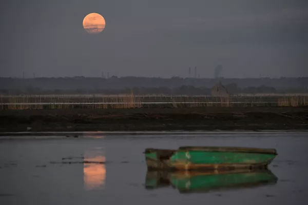 'Luna de nieve': así fue bautizada la primera superluna del 2019 'Luna de nieve': así fue bautizada la primera superluna del 2019 - Sputnik Mundo