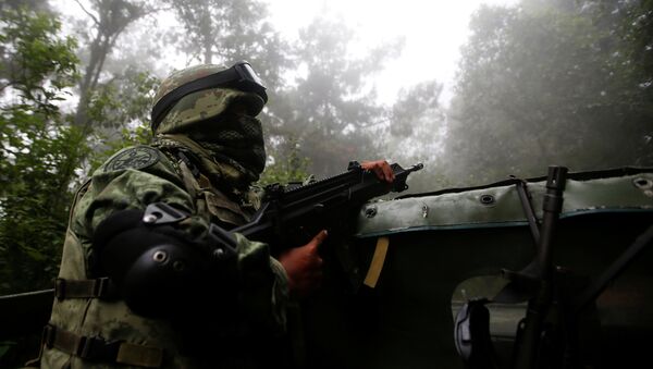 Un militar mexicano (Archivo) - Sputnik Mundo
