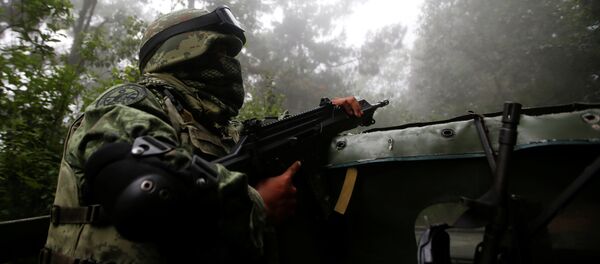 Un militar mexicano (Archivo) - Sputnik Mundo