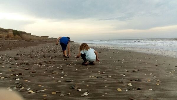 La pequeña Indira junto a su hermano en la playa Camet Norte, ubicada al centro sur de la provincia de Buenos Aires La pequeña Indira junto a su hermano en la playa Camet Norte, ubicada al centro sur de la provincia de Buenos Aires - Sputnik Mundo