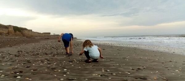 La pequeña Indira junto a su hermano en la playa Camet Norte, ubicada al centro sur de la provincia de Buenos Aires - Sputnik Mundo