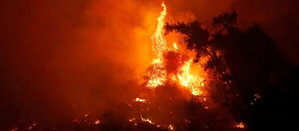 Un incendio forestal se ve dentro del parque metropolitano llamado cerro San Cristóbal en el centro de la ciudad de Santiago - Sputnik Mundo