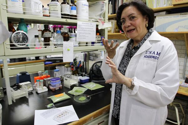 Irma Romero Álvarez, la científica de la UNAM - Sputnik Mundo