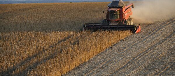 Una trilladora recoge cosechas - Sputnik Mundo
