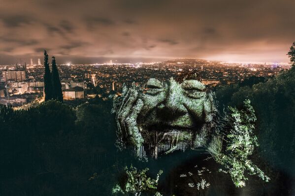 Las caras de los árboles, dibujadas con luz - Sputnik Mundo