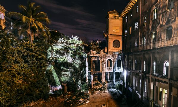 Las caras de los árboles, dibujadas con luz - Sputnik Mundo