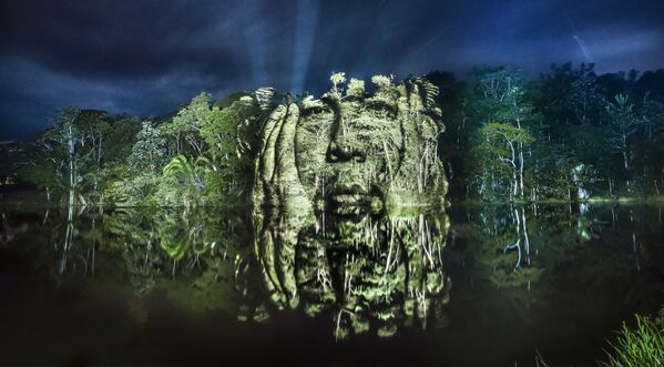 Las caras de los árboles, dibujadas con luz - Sputnik Mundo