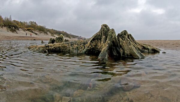 Aguas del mar Báltico Aguas del mar Báltico - Sputnik Mundo