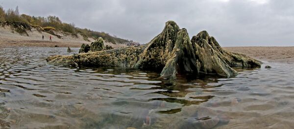 Aguas del mar Báltico - Sputnik Mundo