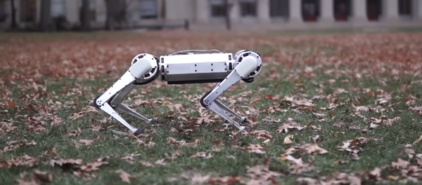 El robot Mini Cheetah del MIT de Massachusetts - Sputnik Mundo