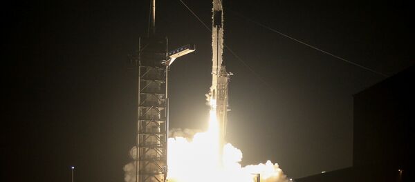 Lanzamiento de la nave espacial Crew Dragon - Sputnik Mundo