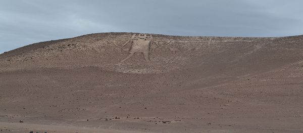 Gigante de Tarapacá - Sputnik Mundo