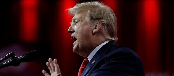 Donald Trump, presidente de EEUU - Sputnik Mundo