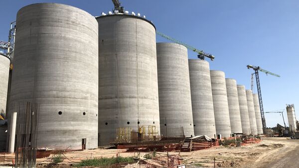 Instalaciones de procesamiento de soja en una terminal portuaria del Gran Rosario, Argentina - Sputnik Mundo