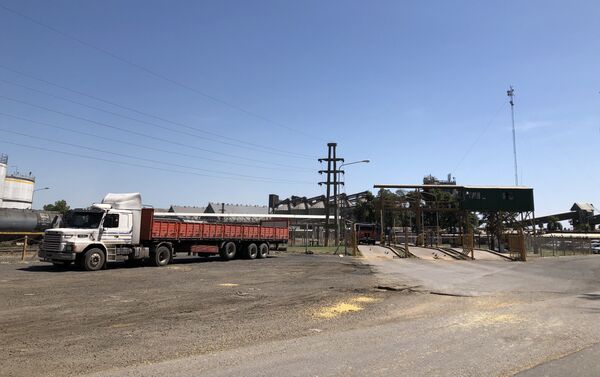 Instalaciones de procesamiento de soja en una terminal portuaria del Gran Rosario, Argentina - Sputnik Mundo