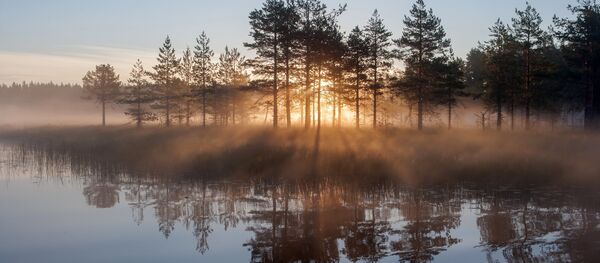 Un lago en la república de Carelia Un lago en la república de Carelia - Sputnik Mundo